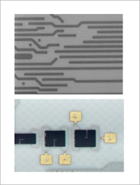 Photo 1 Example of L/S=125µm/125µm Internal Layer Ag Conductors and Printed Resistors