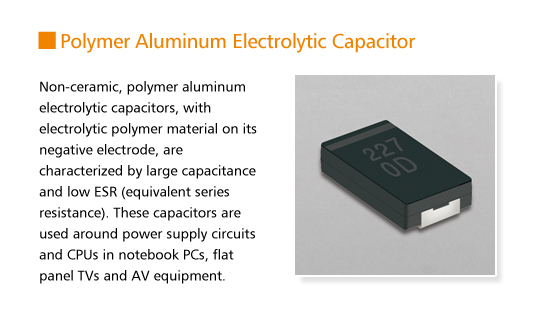 Polymer Aluminum Electrolytic Capacitor