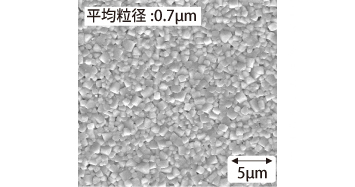Fig. 1 SEM Image of Sintered Body Surface of Multilayer KNN-CZ-2 Ceramics with Ni Inner Electrodes
