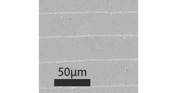 Fig. 2 SEM Image of Sintered Body Cross-Section of Multilayer KNN-CZ-2 Ceramics with Ni Inner Electrodes