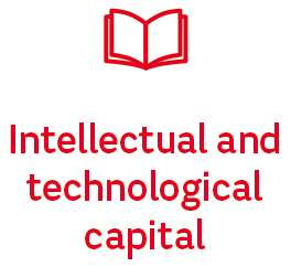 Intellectual and technological capital