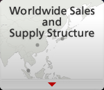 Worldwide Sales and Supply Structure