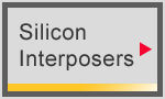 2D Silicon Interposers