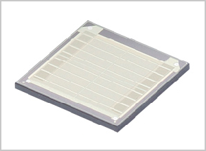 Image 2 of MGSC