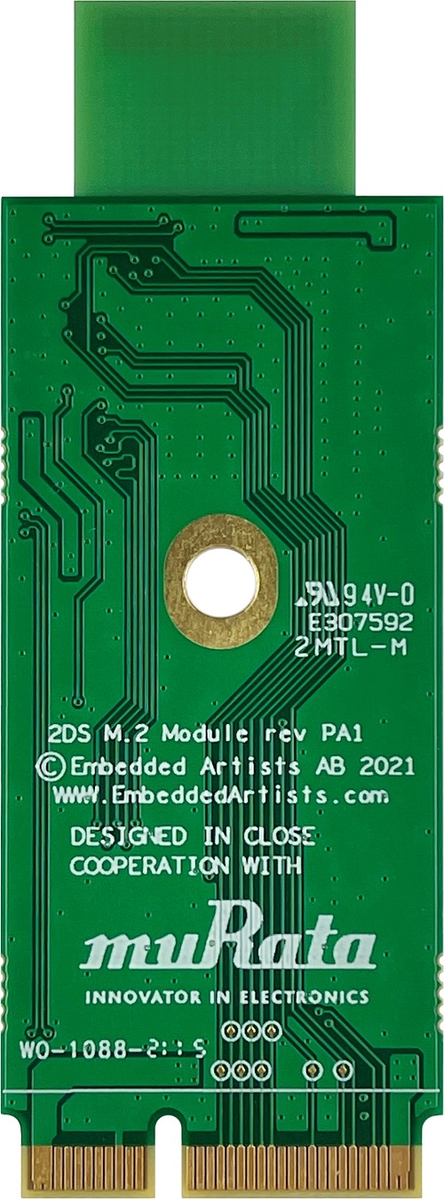 Back View of 2DS M.2 Module