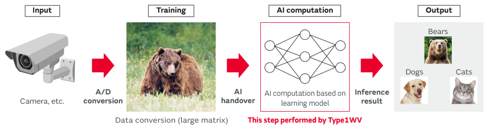 Main image of Examples