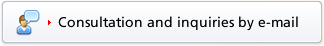 Consultation and inquiries by e-mail