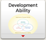 Development Ability