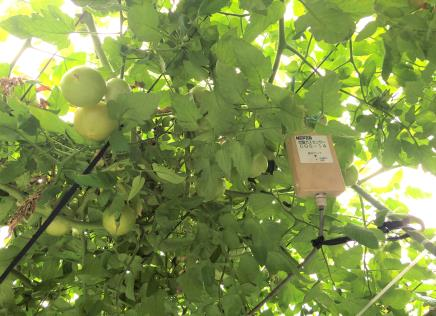 お客様からの評価のイメージ画像1