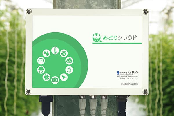 Image of Midori Cloud