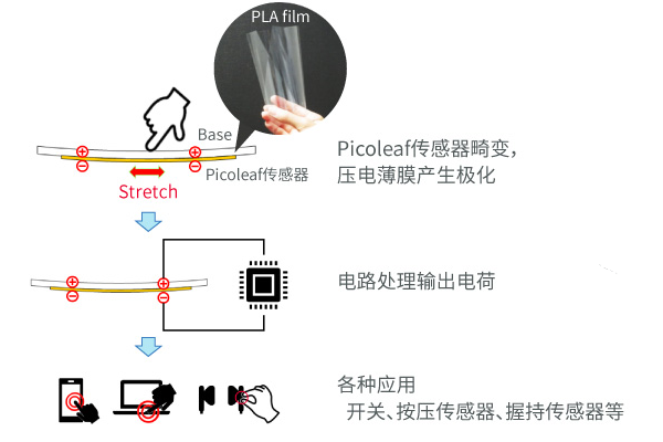 Picoleaf的用途的图片。Picoleaf传感器畸变，压电薄膜产生极化。电路处理输出电荷。