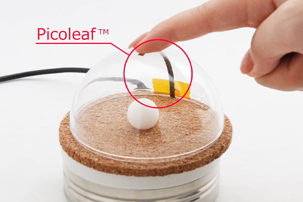 Image of Flexible structure