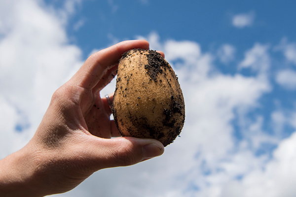 採用事例のイメージ写真2