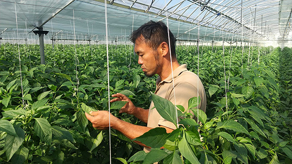 Image 1 of our customer’s challenges