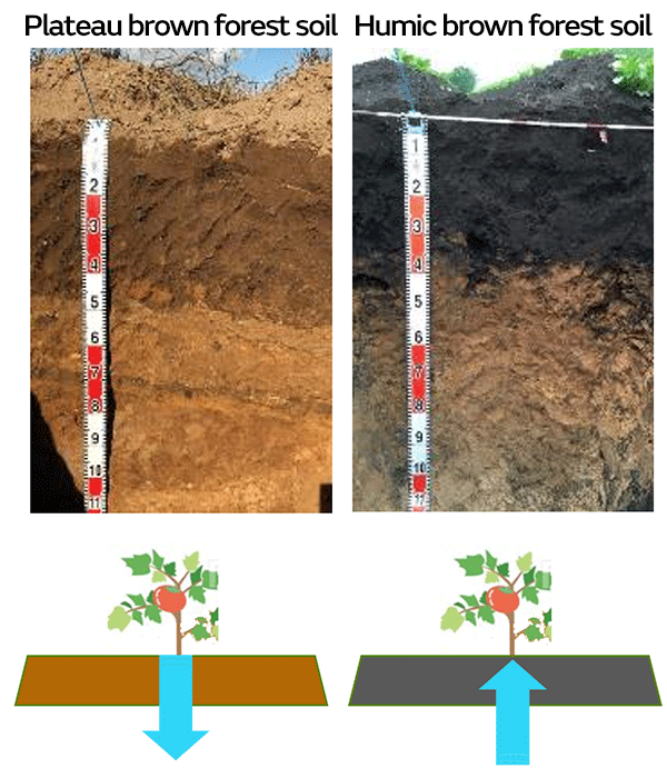 Image 1 of Examples of water retaining capacity of different soil textures