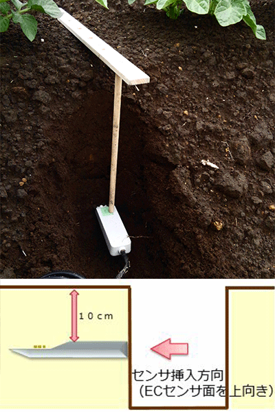 センサの挿入方向のイメージ画像です。ECセンサ面を上向きにします。