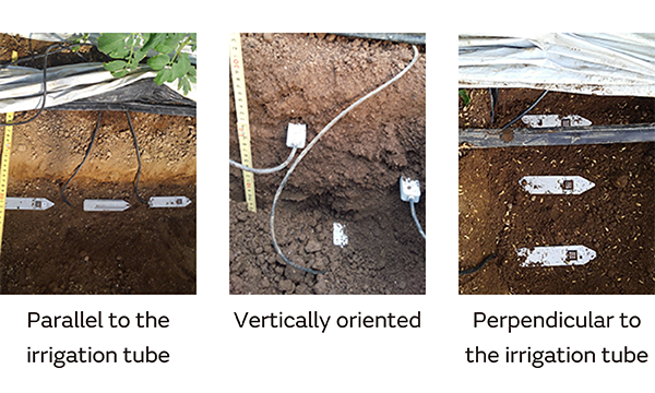 Image 2 of Properly installed Murata soil sensors enable three-dimensional distribution measurement of soil conditions