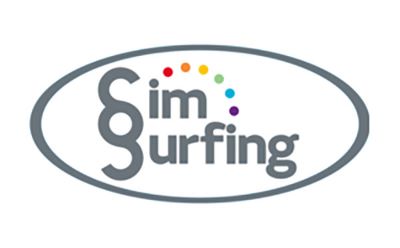 Image 1 of SimSurfing