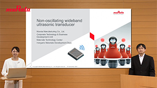 Wideband Ultrasonic Transducer